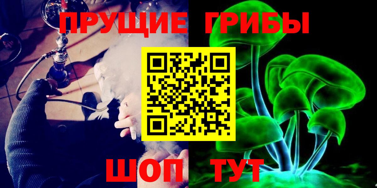 где найти   Вход с VPN  Киселёвск  Галлюциногенные грибы мицелий 