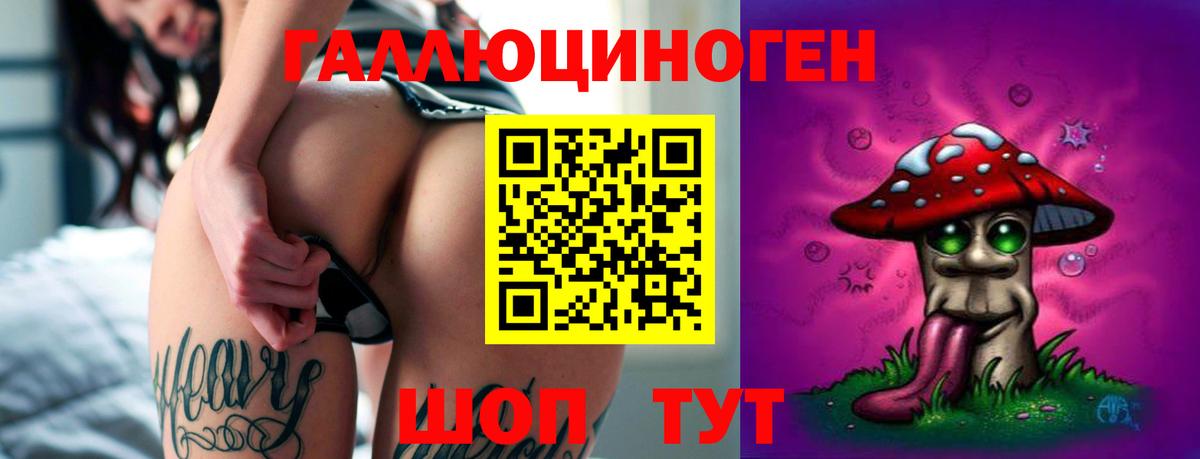 Псилоцибиновые грибы прущие грибы Киселёвск